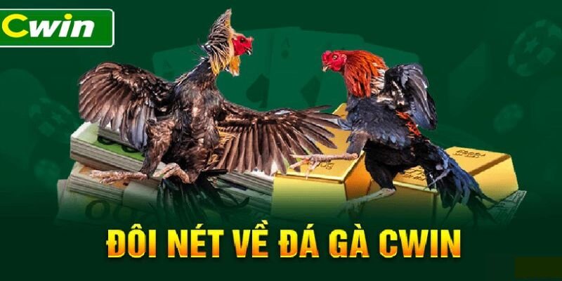 Đá Gà Cwin - Trải Nghiệm Đá Gà Trực Tuyến Uy Tín Nhất